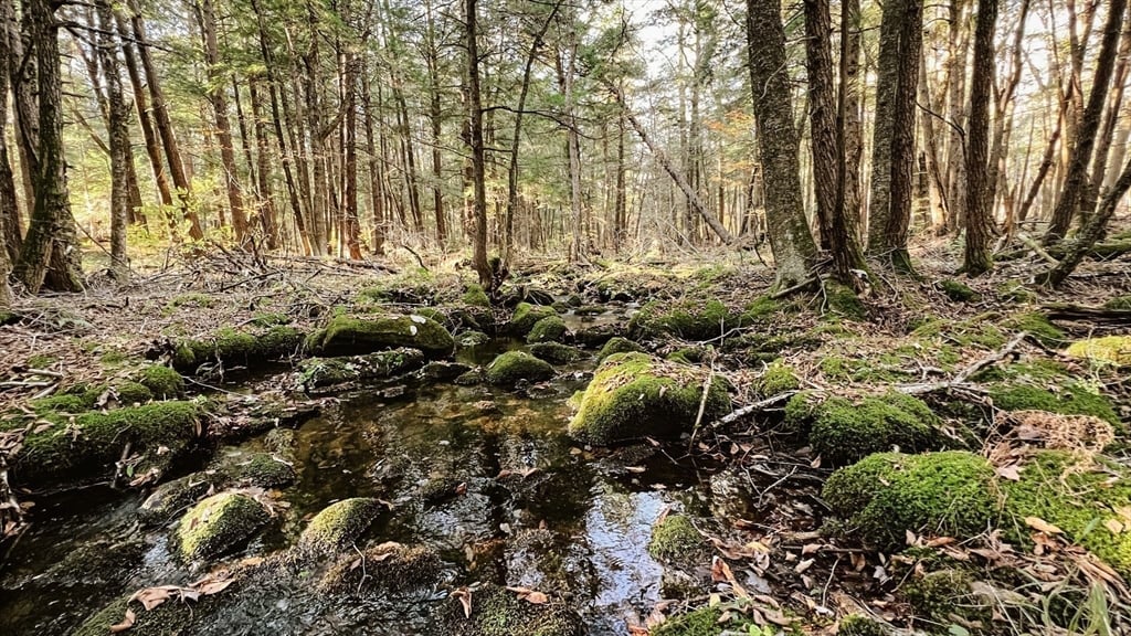 Lot 1 Marcy Road Photo 7