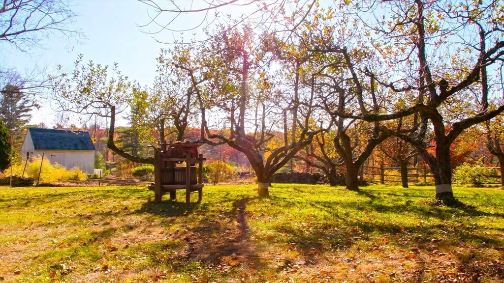 764 East Hill Road Photo 15