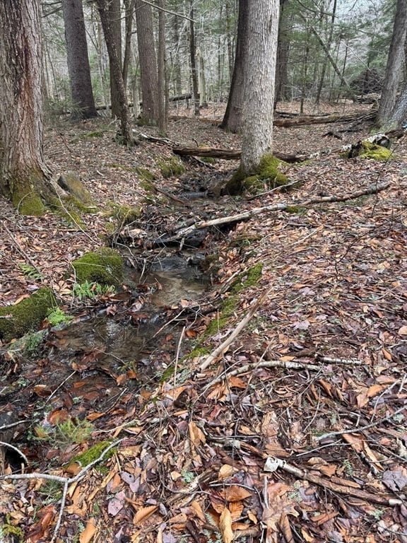 237 Trouble St Photo 9