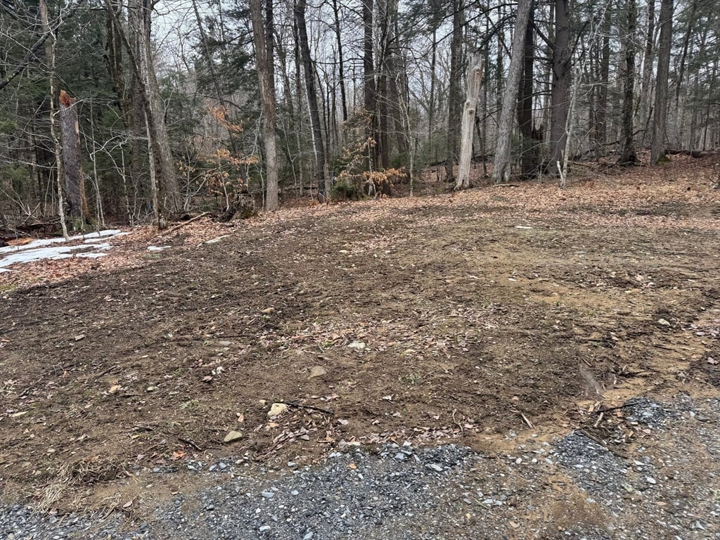 237 Trouble St Photo 7