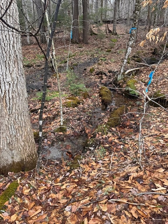 237 Trouble St Photo 8