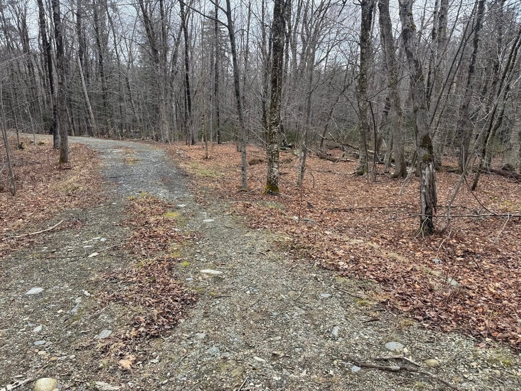 237 Trouble St Photo 1