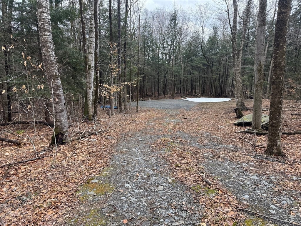 237 Trouble St Photo 5