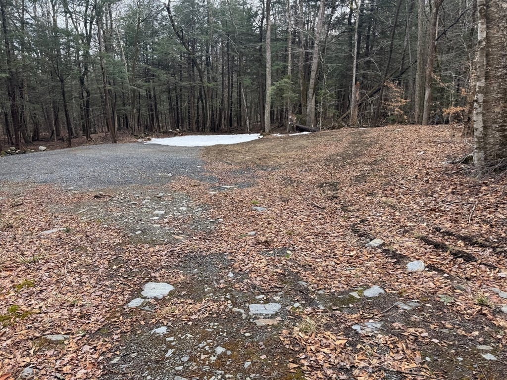 237 Trouble St Photo 6