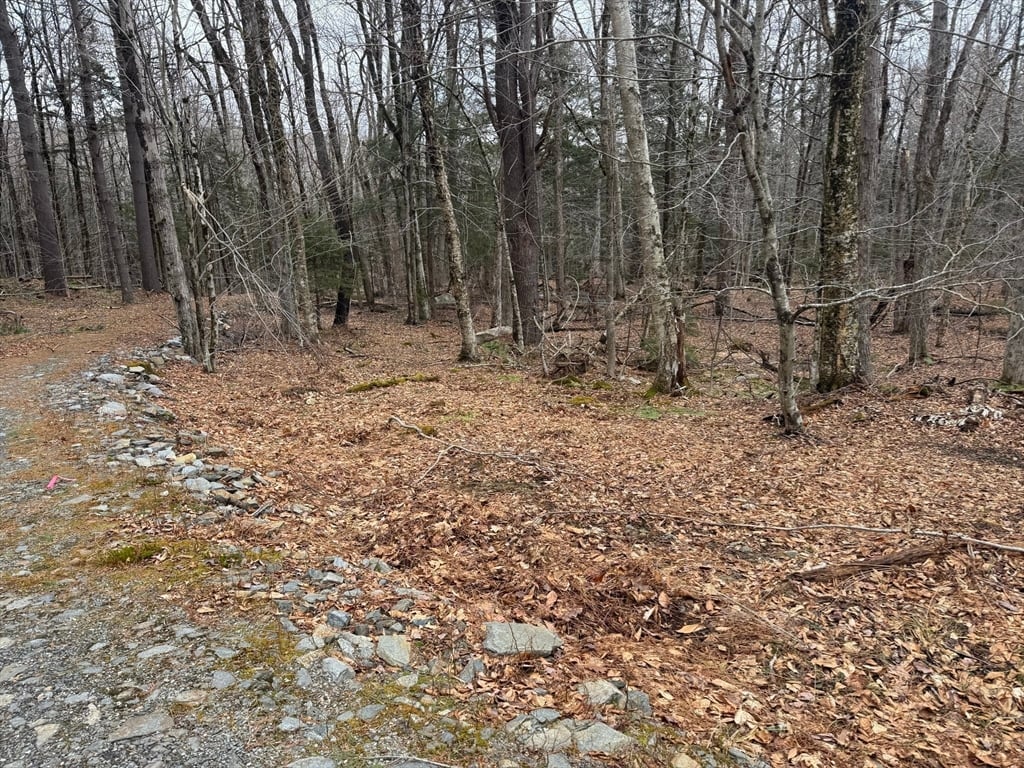 237 Trouble St Photo 4