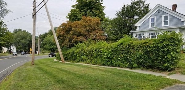 11-13 Colrain St Photo 2