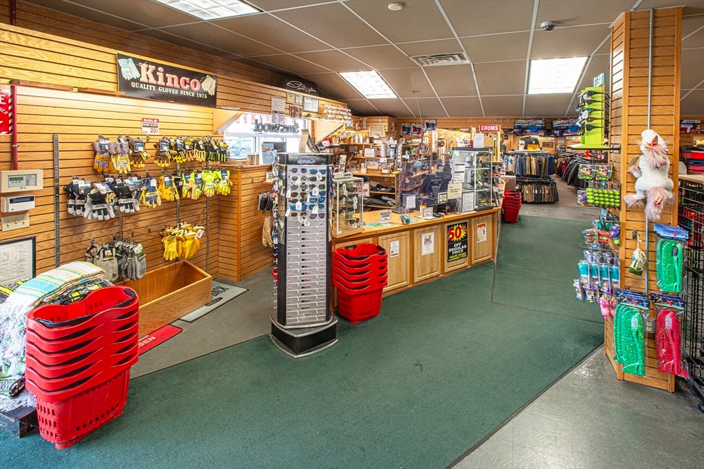 227 Russell Street Photo 12