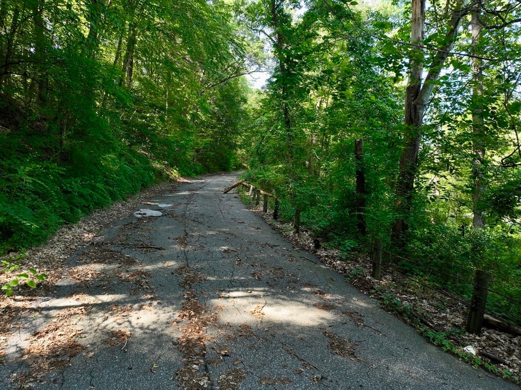 222 River Rd Photo 13