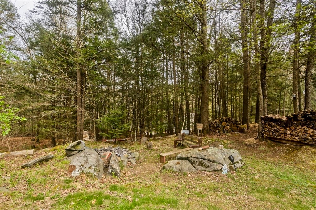 55 Cummington Rd Photo 16