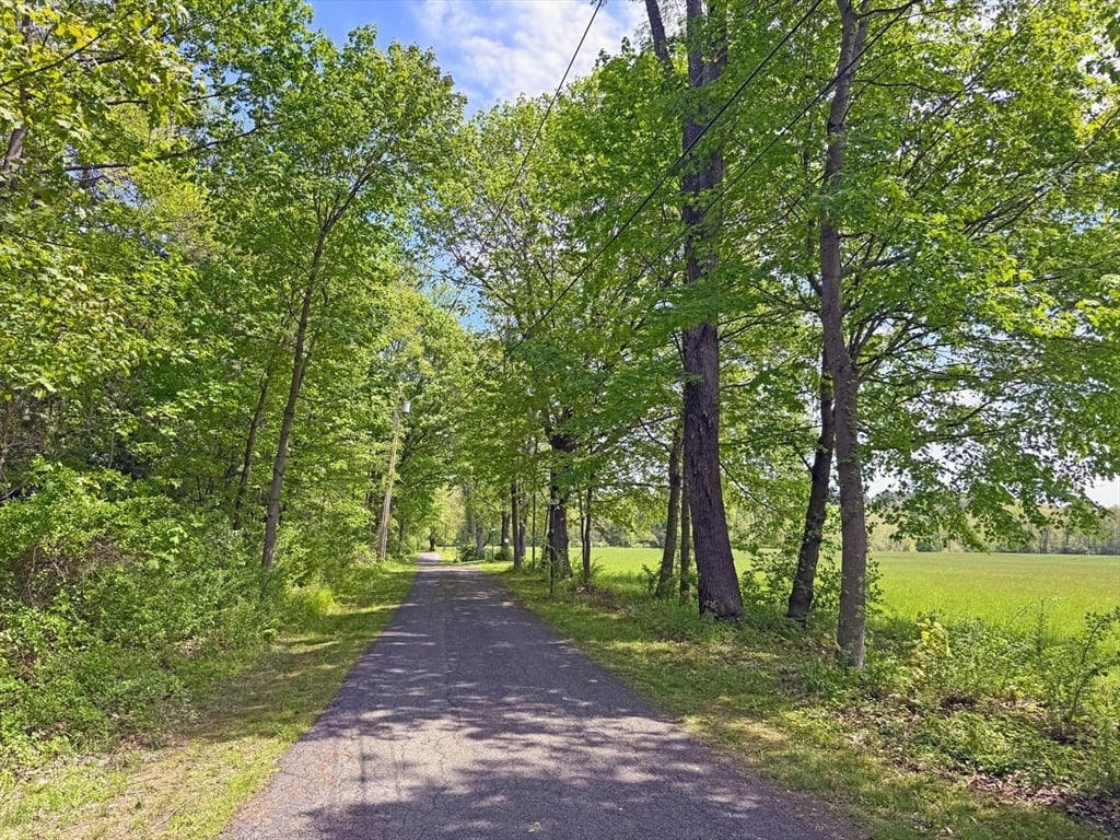 187 Plain Road Photo 2