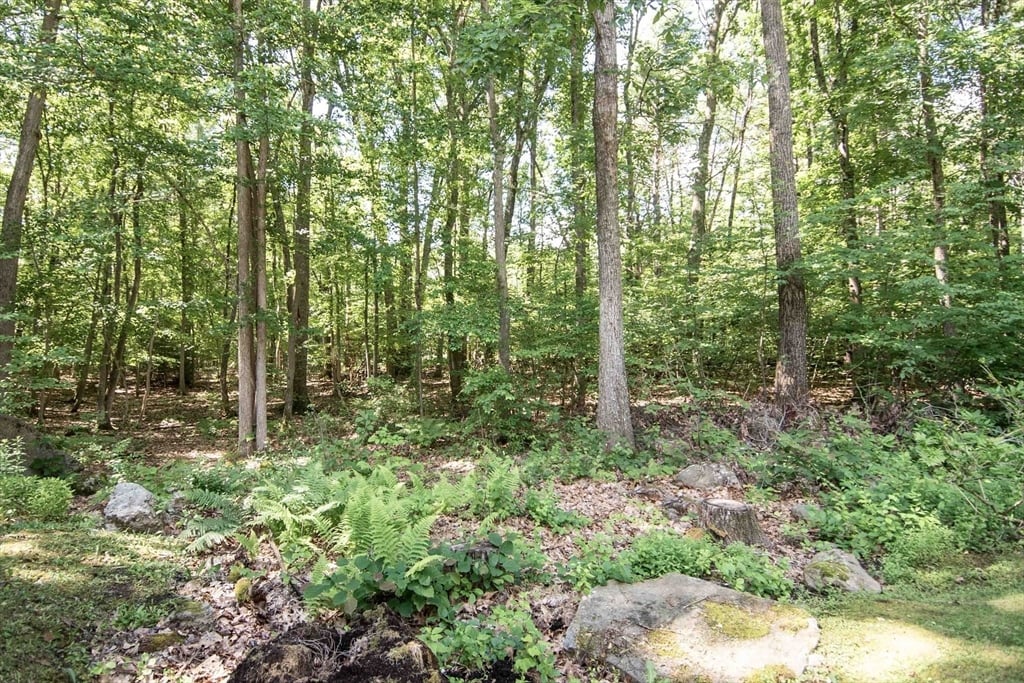80 Lyman Rd Photo 7