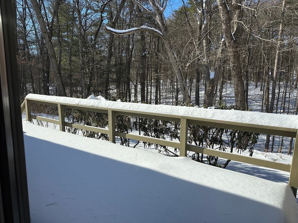 3 Adams Court  #A Photo 10