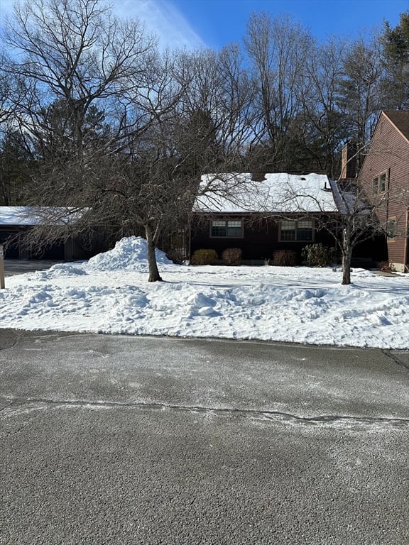 3 Adams Court  #A Photo 5