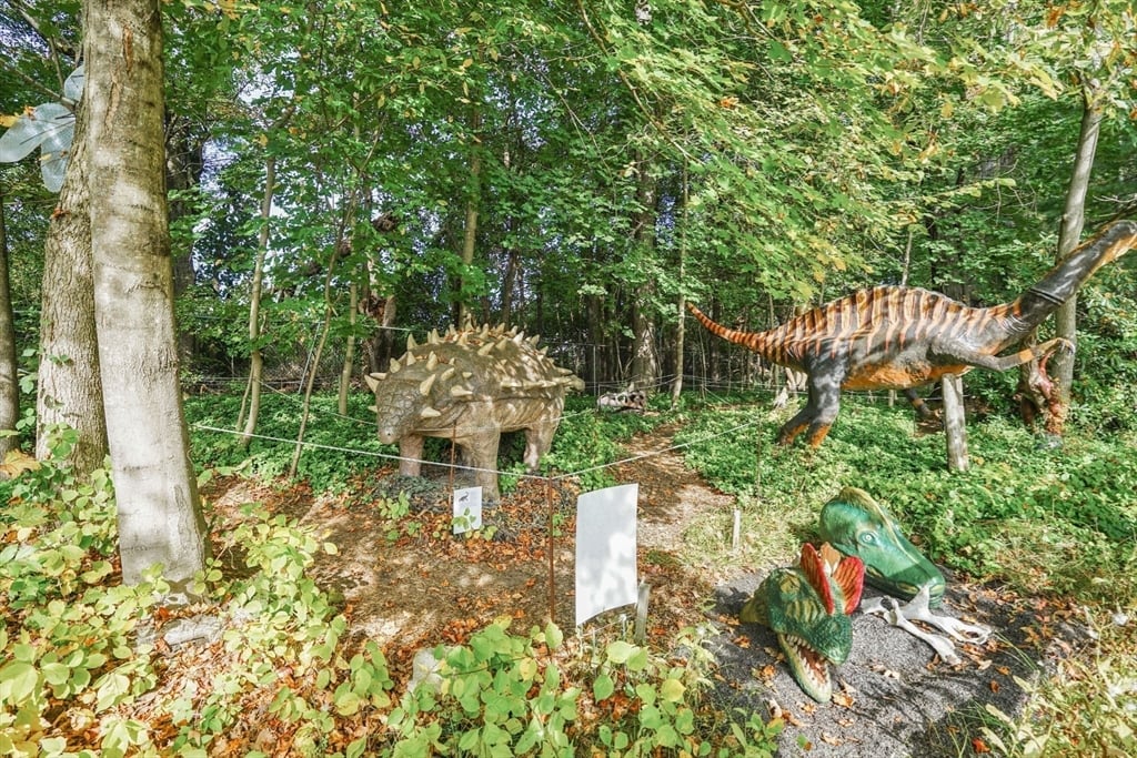 213 Greenfield Rd Photo 38