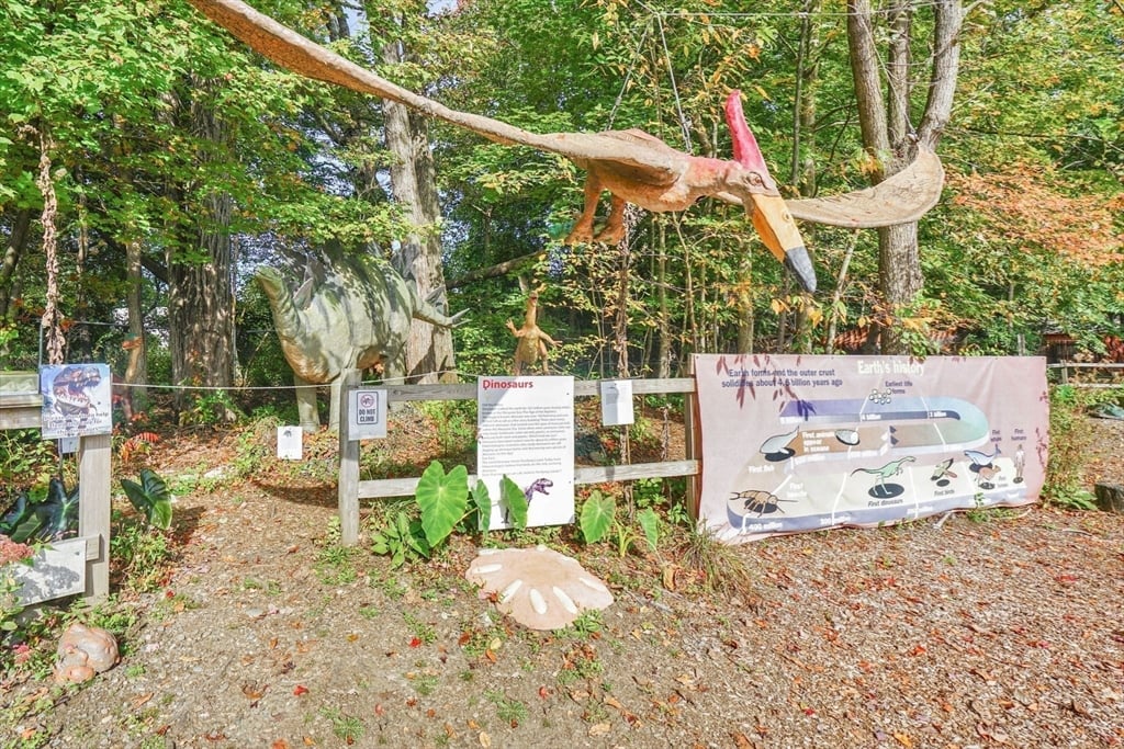 213 Greenfield Rd Photo 39