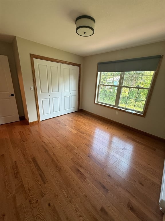 12 Ward Avenue Photo 29