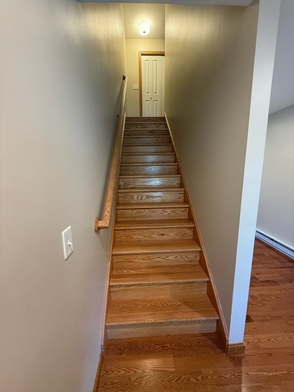 12 Ward Avenue Photo 24