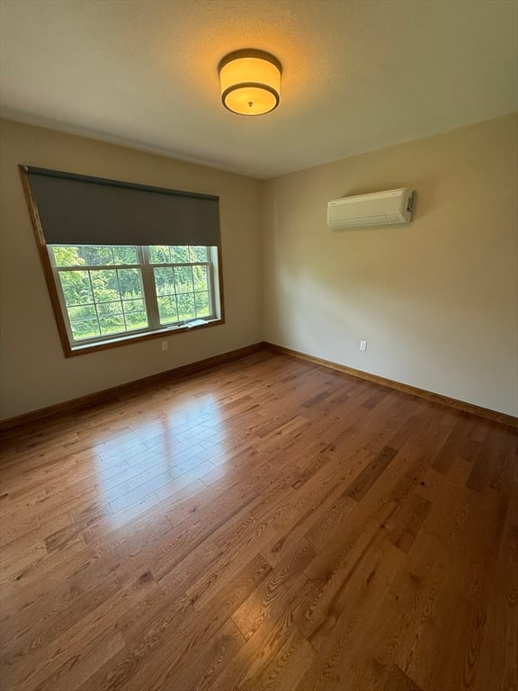12 Ward Avenue Photo 30