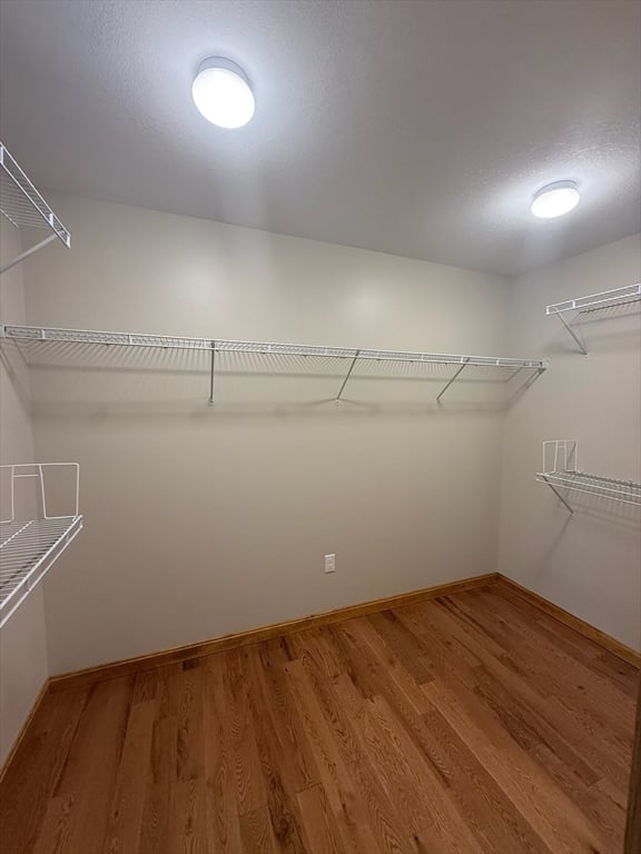 12 Ward Avenue Photo 27