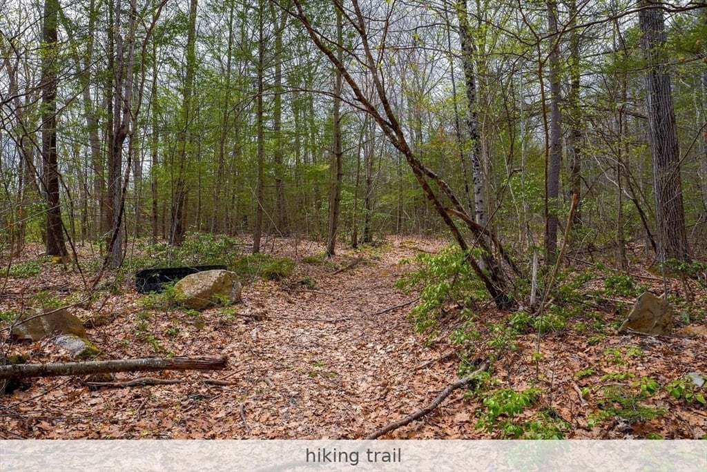 291 Fomer Road Photo 16