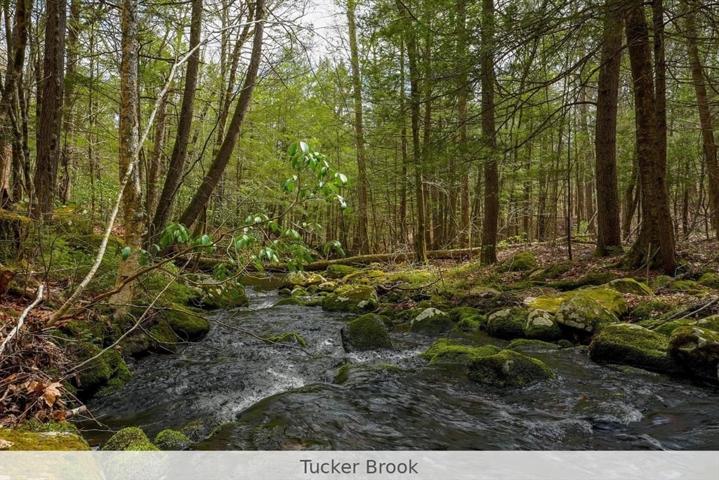 291 Fomer Road Photo 20
