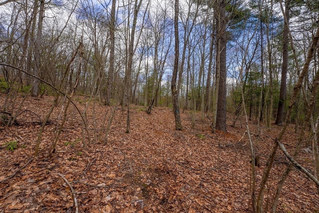 291 Fomer Road Photo 17