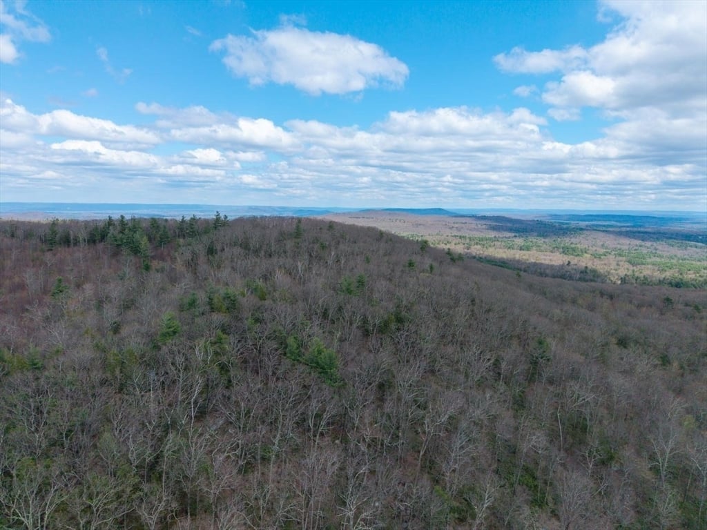 291 Fomer Road Photo 9