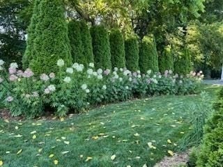 6 East Commons Drive #6 Photo 25