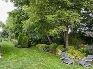 6 East Commons Drive #6 Photo 27