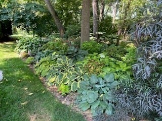 6 East Commons Drive #6 Photo 26