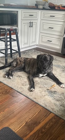 Debra Pardales photo 42