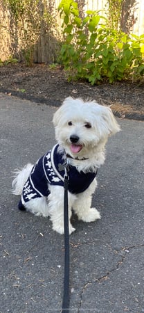 Jeanie Budge photo 6