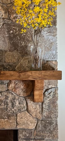 Samira Malek photo 16