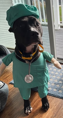 Michele Petrucelli, M.D. photo 8