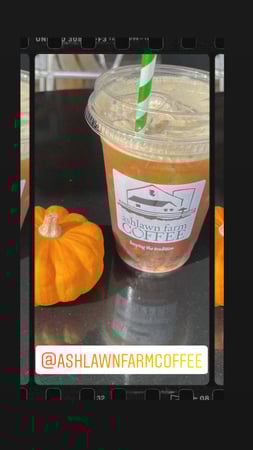 Jen Bordonaro photo 1