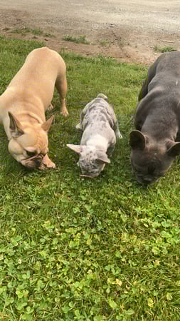 Shannon Margraf photo 5