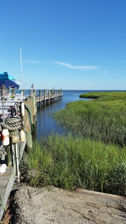 Kathy Mitchell photo 1