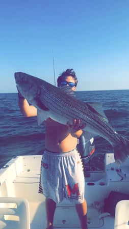 Dana Garitta photo 17