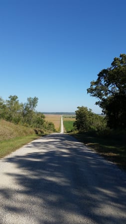 Cynthia Sigurdson photo 8