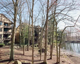 50 Aiken Street #352