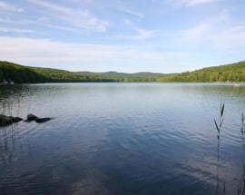 Goose Pond Rd