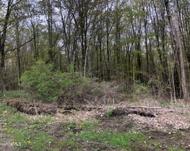 6 Watson Rd