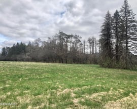 0 Prospecthill + Rattlesnake Mtn Rd