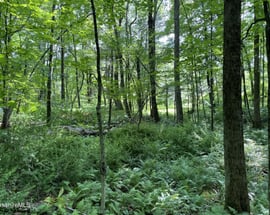 0 Beartown Mountain Rd