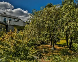 499 Chapel Rd
