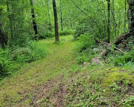 331 Shaw Rd