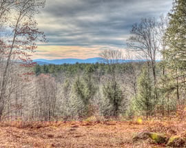 Lot 1a, 0 Mt Hunger Rd
