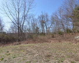 38 King Drive