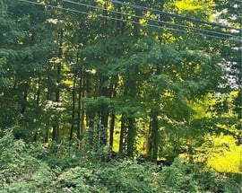 0 Belden Hill Road