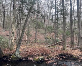 0 Sheepskin Hollow Road North